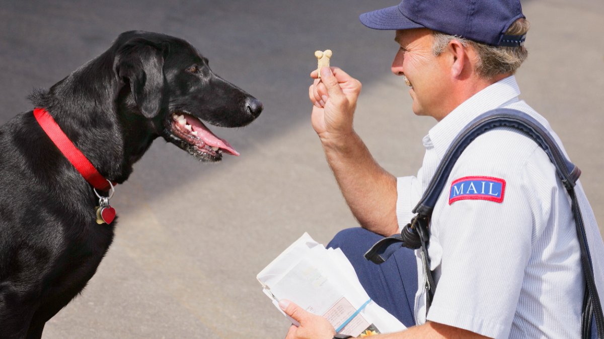 Hund und Postbote