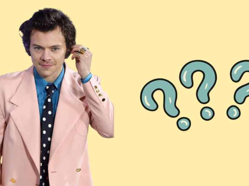 Harry Styles Glatze TikTok Theorien