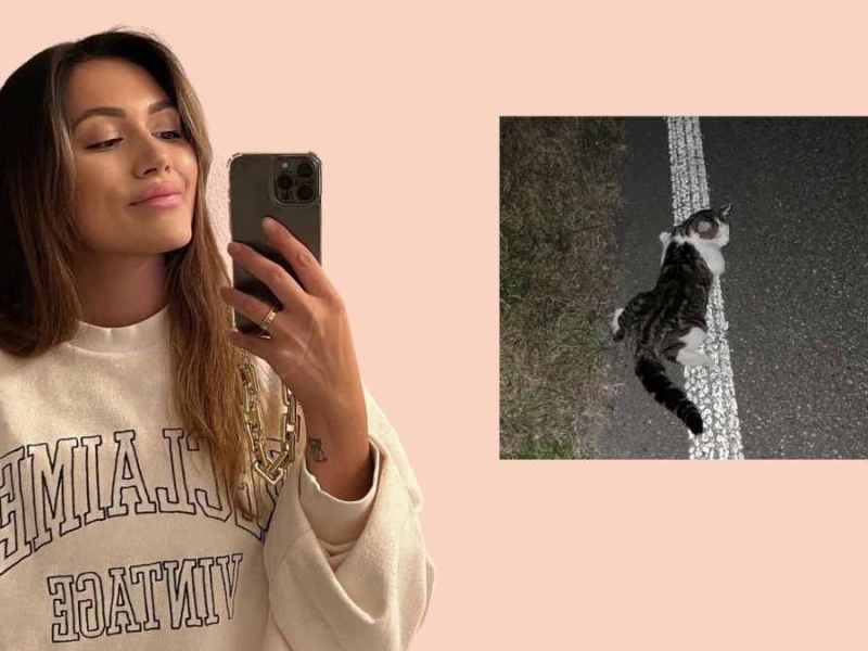 Anna Maria Damm Katzenrettung Instagram
