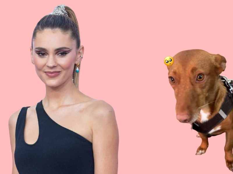 Stefanie Giesinger Hund (2)