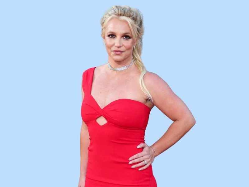 Britney Spears Shitstorm Instapost