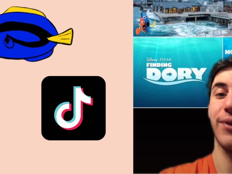 TikTok-Creator hat Easter Eggs bei "Findet Dorie" gefunden.