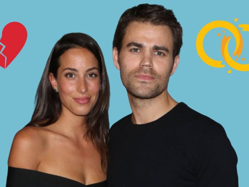 Paul Wesley Divorce