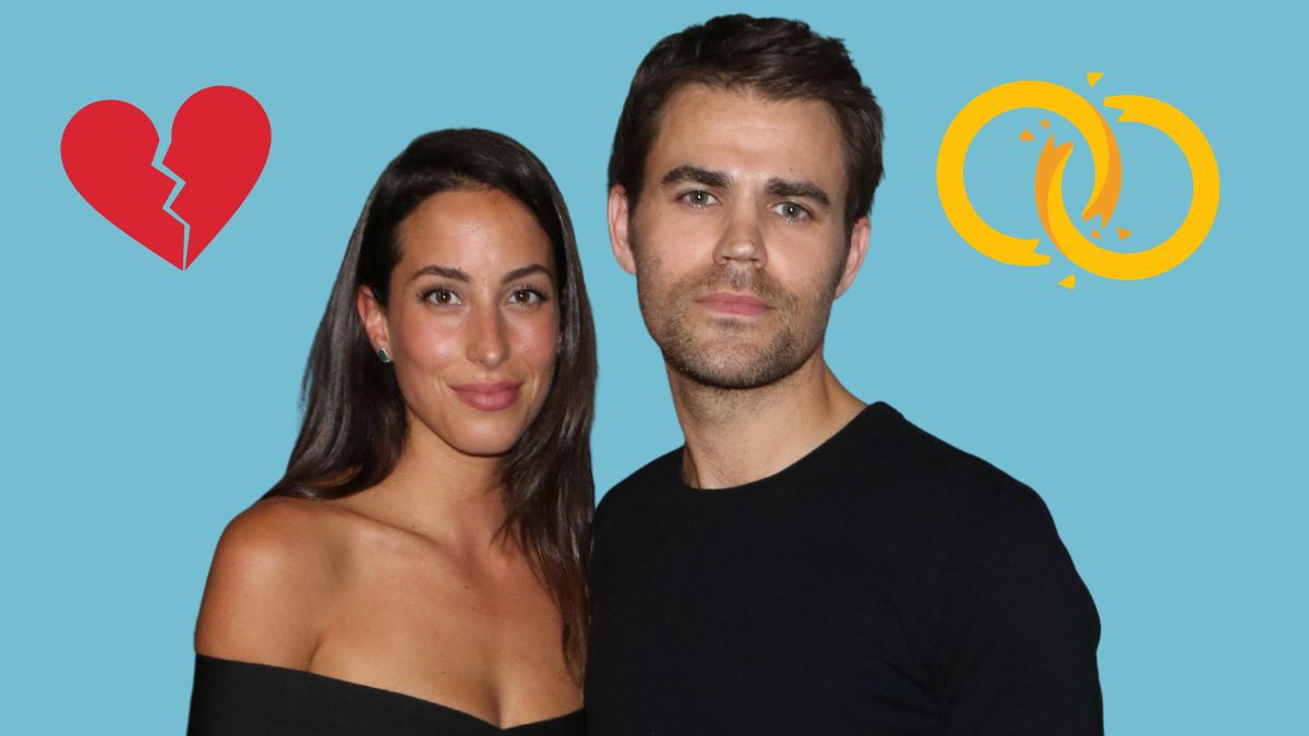 Paul Wesley Divorce