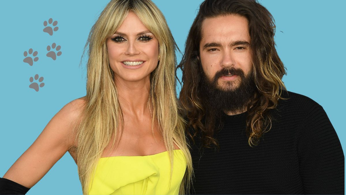 Heidi Klum und Tom Kaulitz: Trauer um Hund Capper