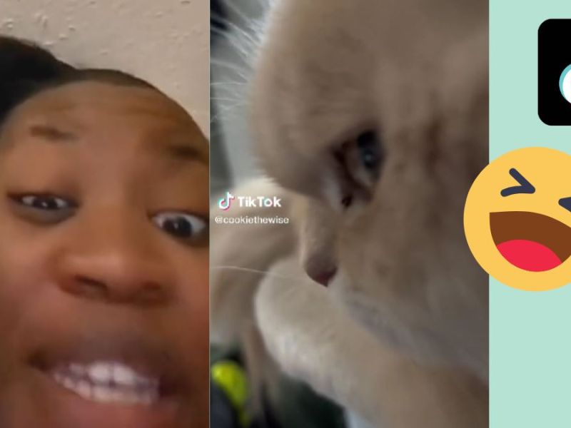 TikTok-Trend: So lustig ist der „Bombastic Side Eye“-Sound