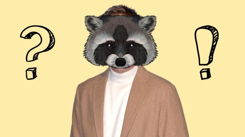 „The Masked Singer“: Dieser Star steckt im Waschbär-Kostüm